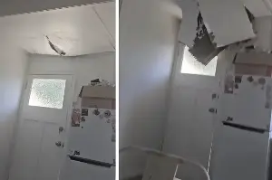 Animal intruder crashes woman's lunch break with dramatic ceiling collapse!