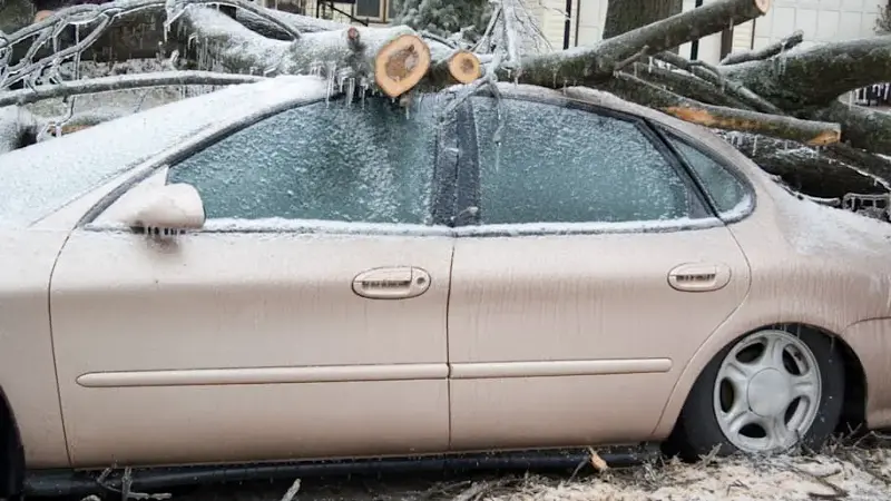 Tree Smashes Car in Storm