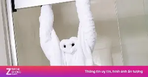 Why do hotels fold towels into animal shapes?