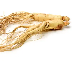 Best Time to Take Ginseng for Energy and Cognitive Enhancement