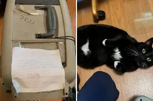 Cat Carrier on Roadside Has Heartbreaking Note: ‘Please Look After Me’