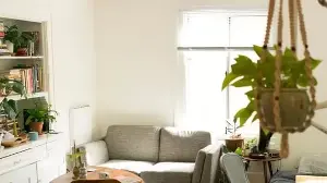 Living in a rented home? 6 decor ideas to make it stylish without any permanent change