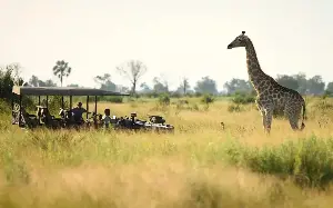The safari camps that capture Africa’s golden age of wildlife travel