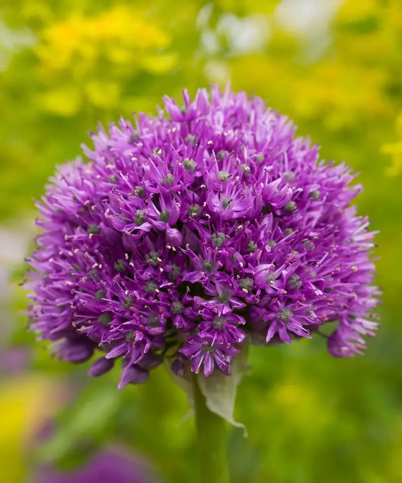 (Image credit: Claire Gainey/Alamy Stock Photo)