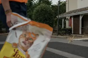 Volunteers rush to save scared animals as massive wildfires engulf France