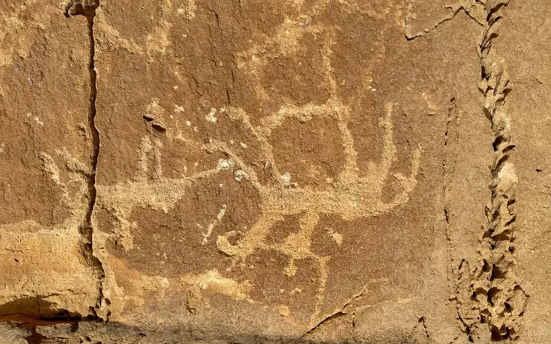 Nabataean archaeological inscriptions carved into the walls at Hegra - Ayman Zaid