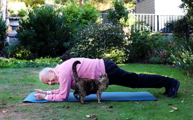 Brandreth says breaking his arm was a ‘wake-up call’, which motivated him to start doing exercises such as the plank - Clara Molden for The Telegraph