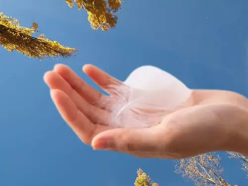 ¿Qué significa encontrar plumas blancas en el camino? Foto: Getty Images