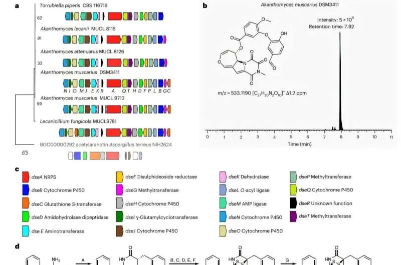 Scientists are unlock fungi's secret chemistry could offer a greener path to crop protection