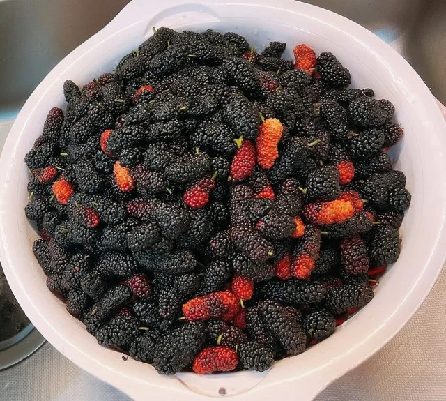 Cách ngâm dâu tằm lâu không mốc hỏng và lên men cho Mùa hè 2026 - Ảnh 3.