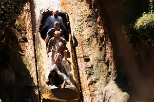 Disneyland warns not to stand up on its log-flume ride or risk getting booted from the park