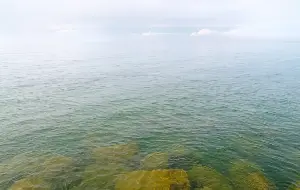 Scientists make prediction for summer's Lake Erie algae bloom