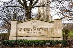 ‘One piece of this puzzle’: Pitt-CMU collaboration makes novel discovery about Alzheimer’s disease