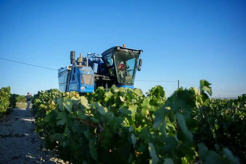COAG alerta de la falta de profesionales en el sector de la viña y reclama un "relevo generacional" en el campo andaluz