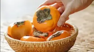 From apple belt to persimmon clusters: Himachal horticulture dept promoting exotic fruit cultivation in 5 districts