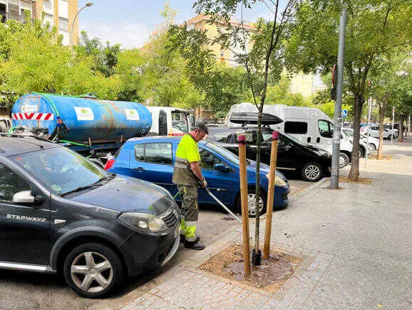 El Ayuntamiento refuerza con 20.000 litros de agua semanales al riego del arbolado en la Macarena