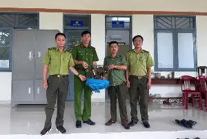 While visiting the farm, they discovered a rare Burmese kite lying motionless under a tree.