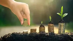 How to open fixed deposit online in minutes: Interest rates, benefits and 5 easy steps