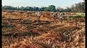Rain, thunderstorm hit many parts in Uttar Pradesh on second day in a row