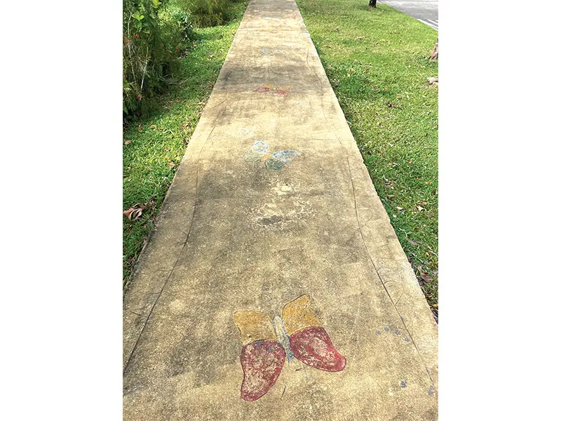 Holland Grove Drive Singapore