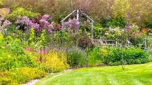 5 Fragrant Plants That Will Turn Your Garden Into a Wildlife Haven – And Lift Your Mood, Too