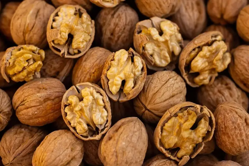 Por qué las nueces se han convertido en el alimento estrella de la memoria