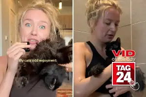 Viral Video of the Day for July 11, 2026: Woman shows off her "unbothered" Craigslist cat and viewers can't get enough!