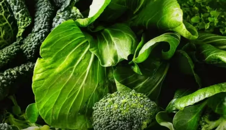 5 nguồn canxi ngoài sữa giúp bảo vệ tim mạch cho người không dung nạp lactose- Ảnh 2.