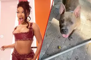 Megan Thee Stallion's dog leads her on an adventure: "I'm down for that!"