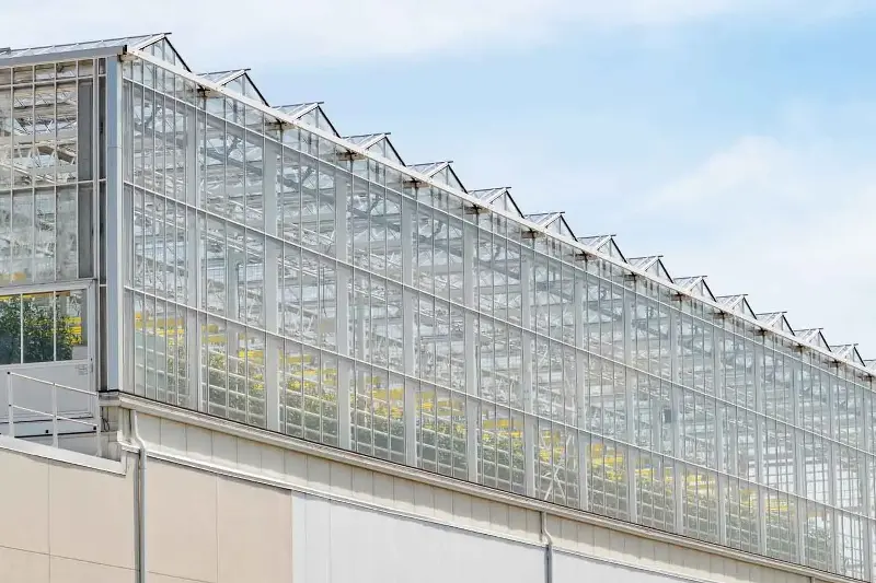 Lufa Farms trasforma i tetti in fattorie