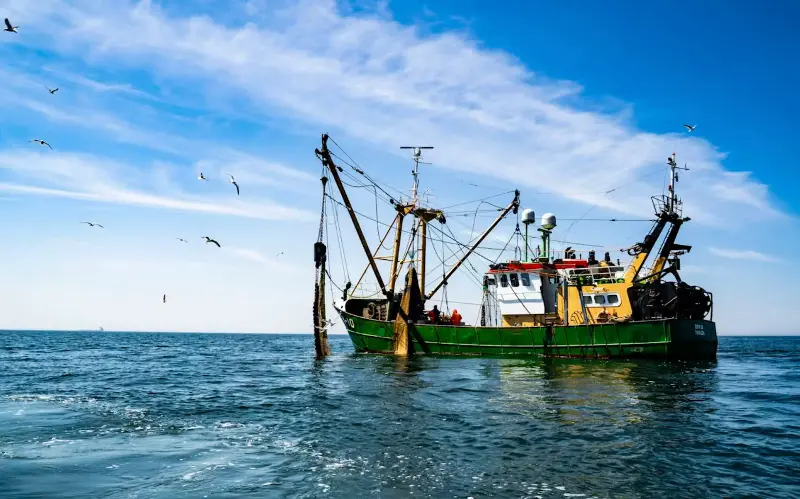 De la red al consumidor: la pesca ilegal representa hasta el 15% de las capturas marinas mundiales