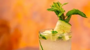 Lifestyle expert shares top 5 foods that help stay cool and healthy in summer: Cucumber, mint, and more