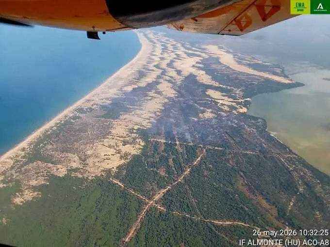 Sanz asegura que hay "islas muy importantes" sin quemar en Doñana y "alta capacidad de regeneración"