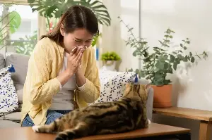 How Pets Are Becoming the Gatekeepers of Modern Relationships