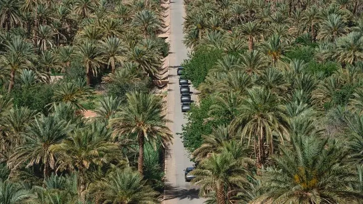 ebro-s900-marruecos-2026-2026114347-1779