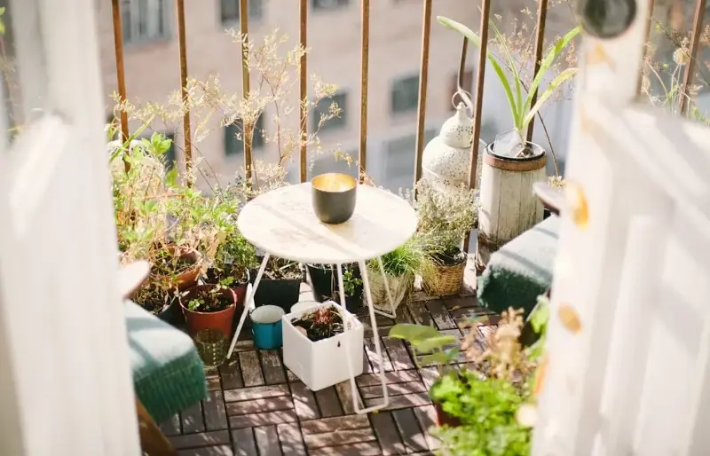 Well-placed plants can help soften heat build-up, create a more pleasant microclimate and make the space feel cooler and more inviting.