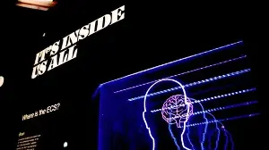 Neurosurgeon shares 7 science-backed habits to support brain health and cognitive ageing