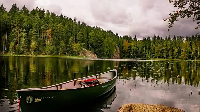 Finlandia busca voluntarios para un viaje gratis: así puede participar en experiencias gastronómicas