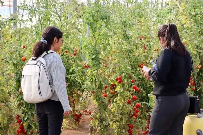 El Grado en Ingeniería Agrícola de la UAL, entre los cinco mejores de España según el ranking de El Mundo