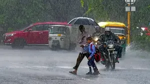 Unsafe trees to be identified, removed across Delhi roads ahead of monsoon