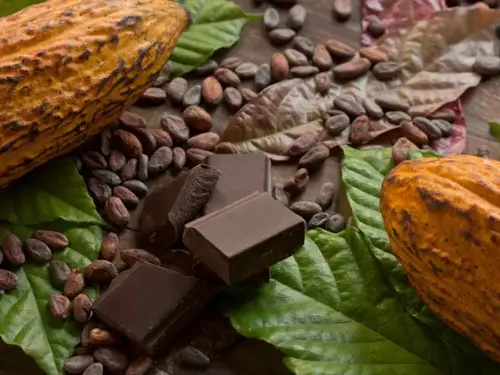 Diferencias entre el chocolate de leche, amargo y blanco, ¿cuál es mejor? FOTO: getty images