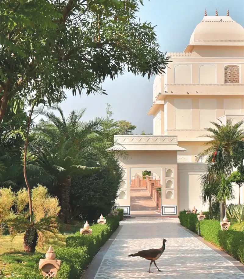 Mementos by ITC Hotels, Jaipur celebrates this mood through curated cultural experiences - from authentic Rajasthani dining and regional delicacies to block-printing workshops, cooking sessions, towel art, mocktail and pasta-making masterclasses
