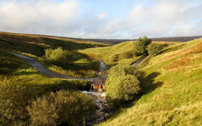 This gentle route combines peaceful riverside paths with sweeping views across the East Allen valley - Vicky Duckworth