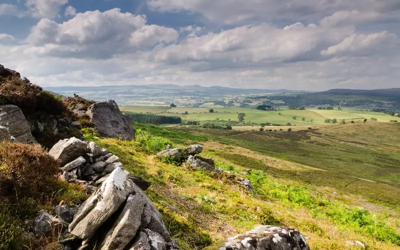 Look out for mysterious prehistoric cup-and-ring stones scattered across Garleigh Moor - daverhead/iStockphoto