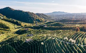 This jaunt through Italy’s ‘Prosecco Hills’ is the most fun you’ll ever have on a hike
