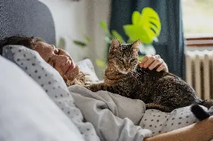 7 Small Morning Habits That Make a Big Difference