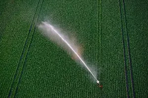 Cotton T-shirts consume vast water resources