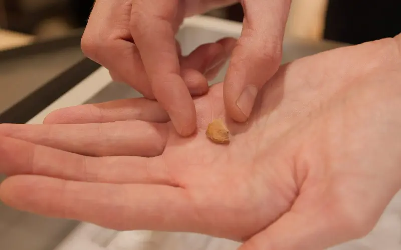 The Neanderthal’s split tooth suggested they had endured a ‘blunt force trauma’ to the face - Cambridge Department of Archaeology