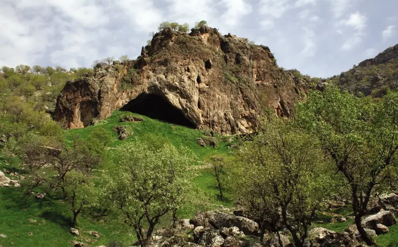 The fossilised shoulder was discovered along with other Neanderthals in Shanidar Cave, in Iraqi Kurdistan - Cambridge Department of Archaeology