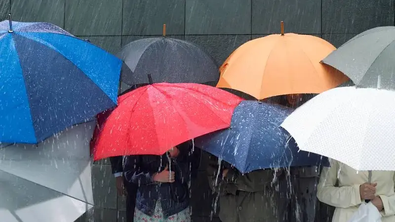 Group of people under umbrellas in rain